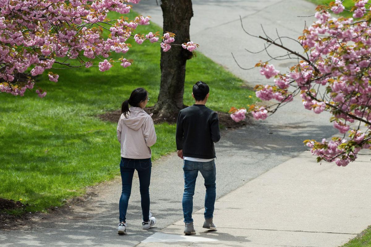 Students walking to class at the University of Rochester.